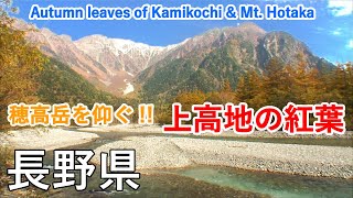 長野県 上高地の紅葉（大正池・田代池・梓川・河童橋） / Autumn leaves of Kamikochi and Mt. Hotaka ( Nagano, Japan )【日本の紅葉絶景！】