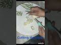 How to cook fruit custard