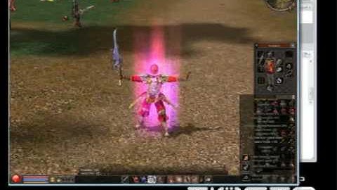 Metin2 P-server PvP show part2