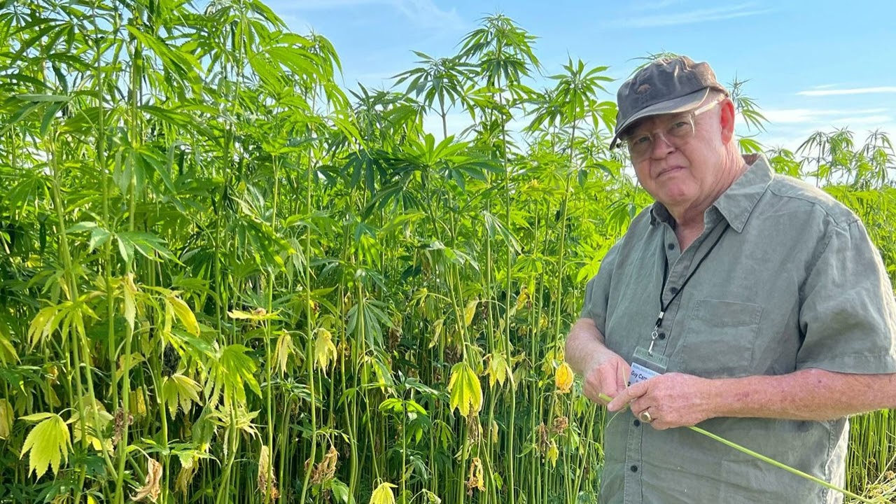 Bear Fiber Weaves American Textiles with Hemp