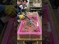 Making a STUNNING Glowing Epoxy Resin Table! 🌌 #shortsvideo