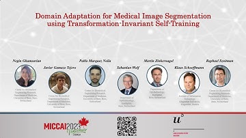 Domain Adaptation for Medical Image Segmentation Using Transformation-Invariant Self-Training