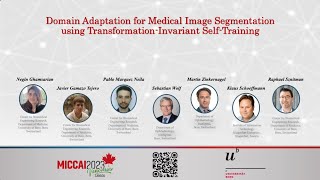 Domain Adaptation for Medical Image Segmentation Using Transformation-Invariant Self-Training