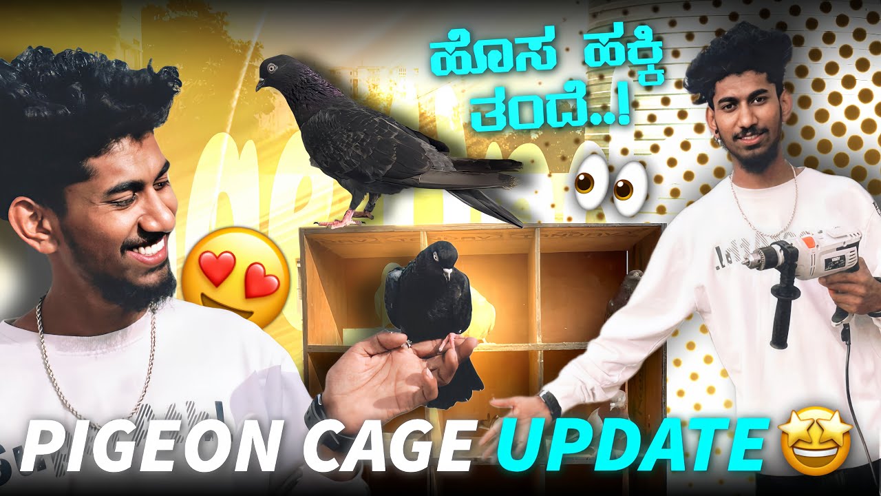 2 ವರ್ಷದ ಹಿಂದೆ ಕೊಟ್ಟ ಹಕ್ಕಿ ಮತ್ತೆ ತಂದೆ 🥹🕊❤️||Princr loft||new piegon for loft in kannada 🥹🕊