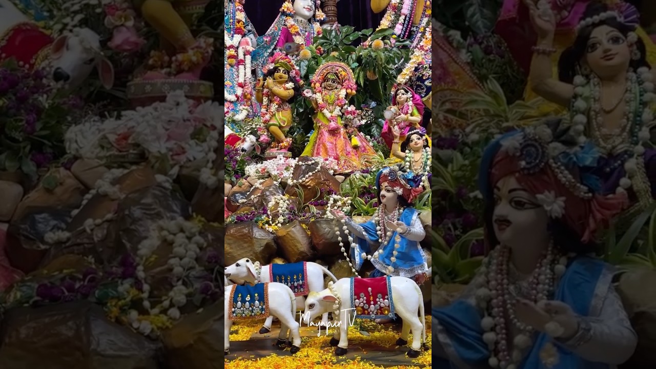 Chandan Yatra day 2