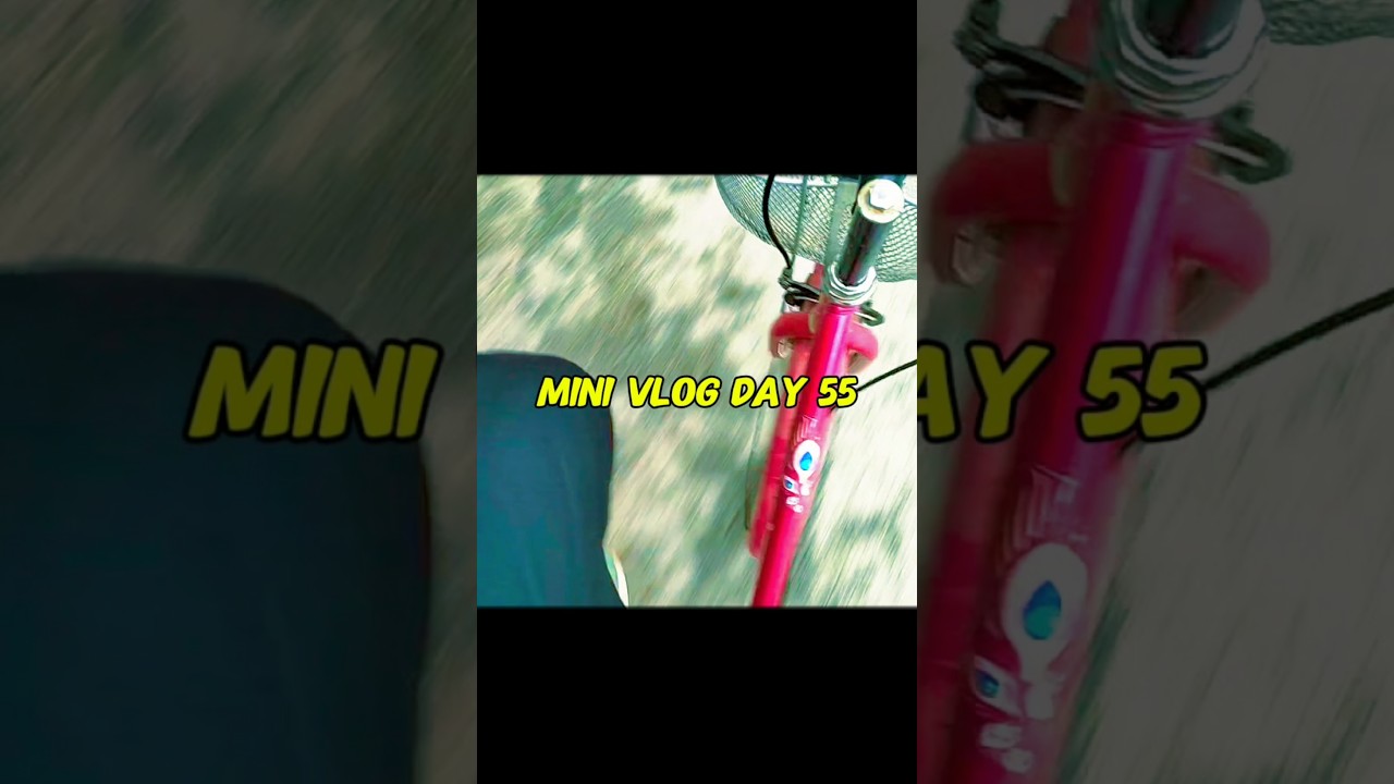 Mini Vlog Day 55 let's see 
