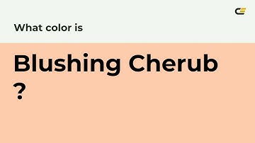 What color is Blushing Cherub ? #ffcdaf hex color - Orange color - Warm color ffcdaf