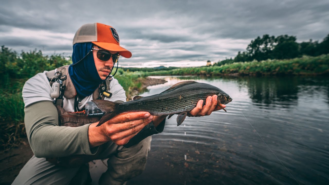 Hiking hard in Swedish Lapland to fish for trout & grayling ! YouTube