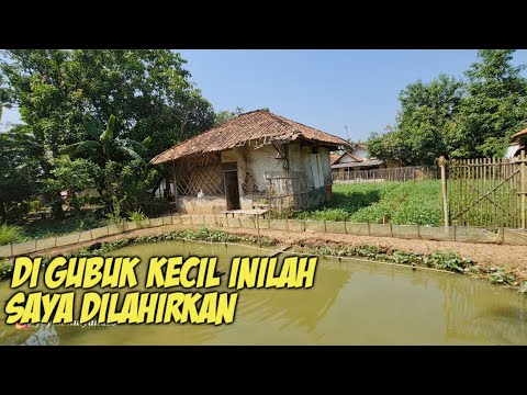 Video: Saya di rumah