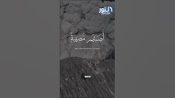 تلاوة عطرة من آيات الذكر الحكيم، بصوت مؤثر وخاشع يُدخل السكينة إلى القلب ويملأ النفس نورًا.