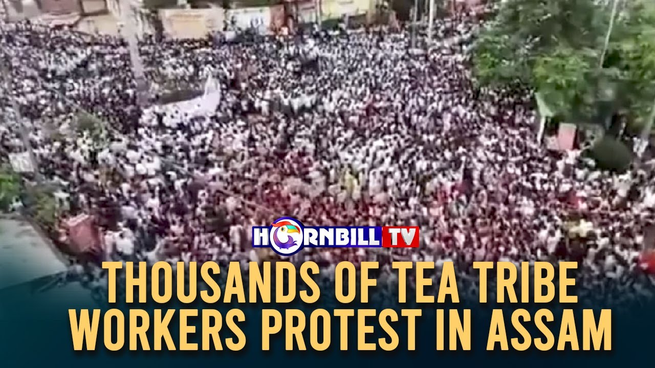 THOUSANDS OF TEA TRIBE WORKERS PROTEST IN ASSAM - YouTube