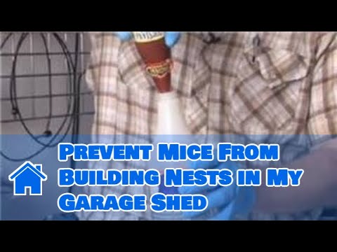 Pest Control Tips : How to Prevent Mice From Building 