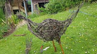 How to make a willow hen