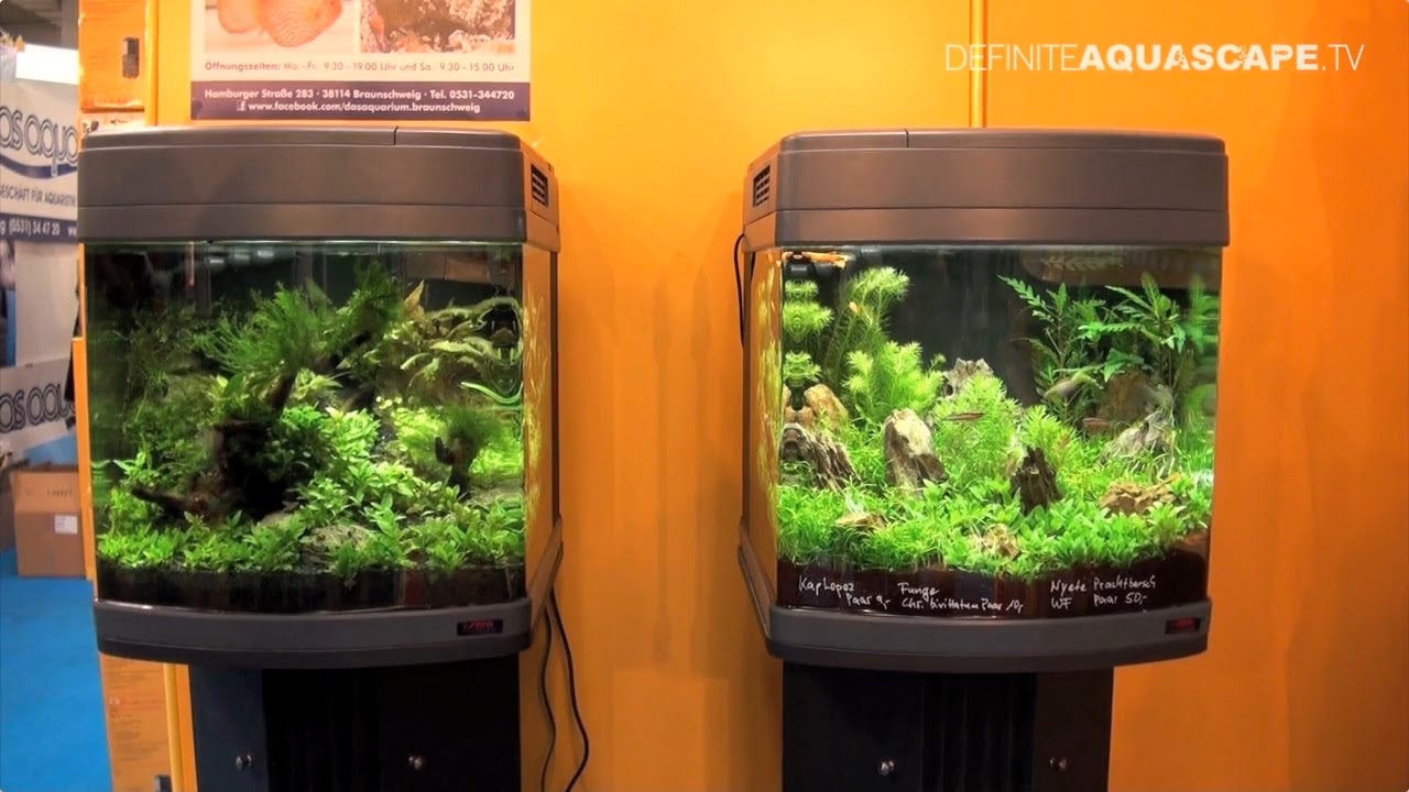 Planted aquariums of Heimtiermesse 2015, Hannover - part 3