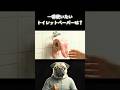 どのトイレットペーパーを使いたい?
