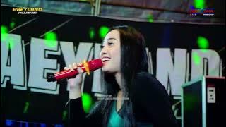 FULL ALBUM PAEYLAND MUSIC   HAPPY PARTY PUTU SIGAWE   KEBON ALAS BESITO GEBOG KUDUS