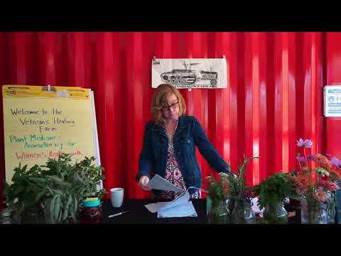 Women's Health Workshop with Dr. Lulu September 11, 2021