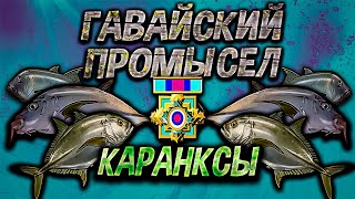 Каранксы - Гавайский Промысел. Русская рыбалка 3.