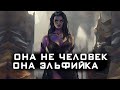 ТОП 5 ЗАБЛУЖДЕНИЙ ТОЛКИНИСТОВ О Средиземье: Тени Войны  Middle-earth: Shadow of War