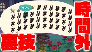 【カズ森】時間外でサソリを大量に捕まえる裏ワザ！あつまれどうぶつの森 PART46