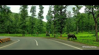 Vansda National Park Journey - YouTube