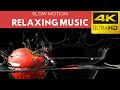 Relaxing Music for Stress || slow motion || fruits and vegetables || 4K video (ultra HD)