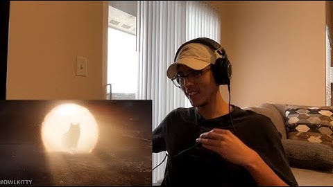 Avengers Endgame with my cat OwlKitty - Reaction!