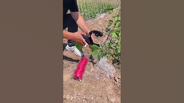 Máy buộc cây leo giàn, Dụng cụ buộc dây leo Tape tool #thapxanh #xuhuong #máynôngnghiệp #reels