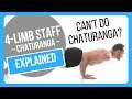 How To Properly Do Chaturanga Dandasana