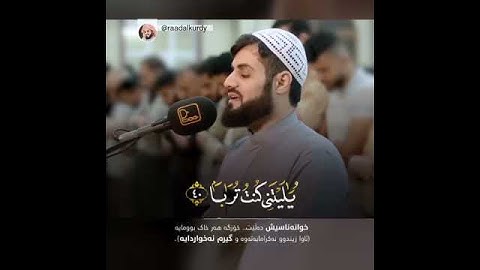 ماتيسر من سورة النبا رعد الكردي 🍂♥️