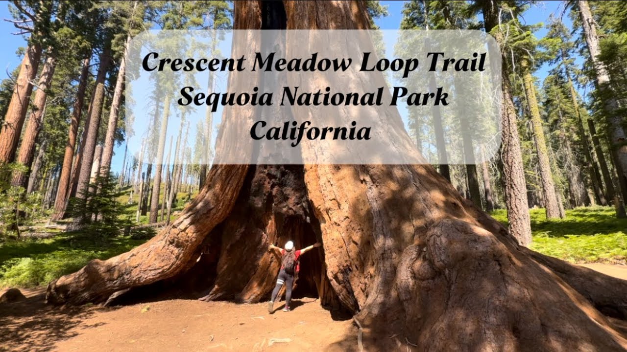 A scenic hike along the Crescent Meadow Loop Trail in Sequoia National Park.