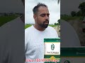 savannah 7501 performance @30 days #kisani #farming #agriculture #jattlifestudios #kisan#agriworld