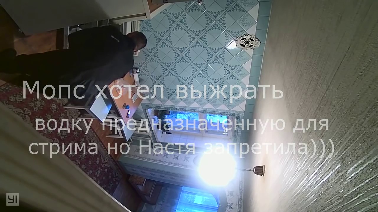 МОПС СКРЫТАЯ КАМЕРА ДОМА У МОПСА, ЧАСТЬ 2 - YouTube