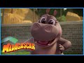 Gloria is a brave hippo | DreamWorks Madagascar