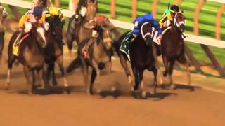 ABR Racing 101: A Jockey's Life