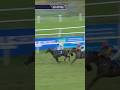 Gaelic Warrior's brother Sparkling Wit makes winning debut at Limerick ❤️