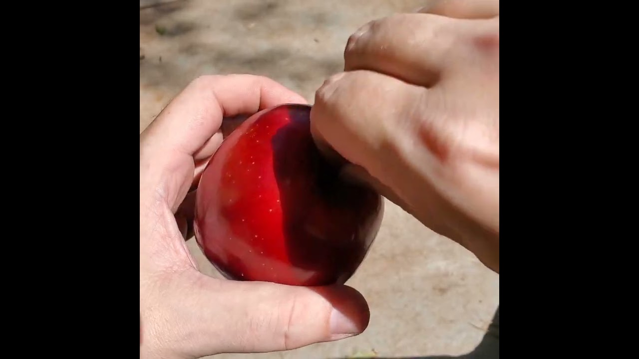 Let S Make An Apple Pipe 