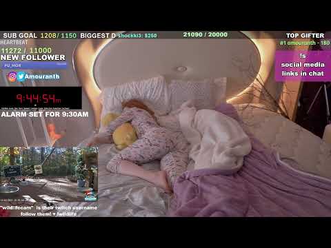 Amouranth&#39;s Sleep Stream Went CRAZY