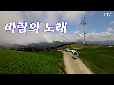 비 오는 금요일☂️ 낭만에 치인다...☆ 대관령 풍경과 #영탁 바람의 노래로 감성 충전하고 가세요😘