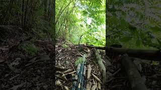 Buổi Đi Săn Cùng Condor Z Hạ Ngắm