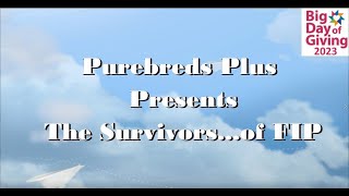 Purebreds Plus FIP Program: 2023 Big Day of Giving Sacramento (BDOG) by PurebredsPlusCat 109 views 1 year ago 3 minutes, 6 seconds