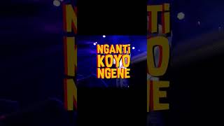 Ngampet Loro  #ndxaka #nyeksobatin #viral #shortvideo #shorts #update #storywa #status #trending