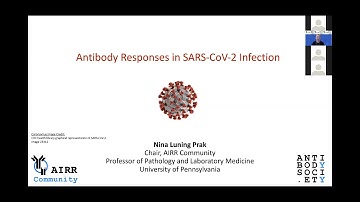 ​Antibody responses in SARS-CoV-2 infection (N. Luning Prak​)