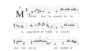 Offertorium: Meditabor