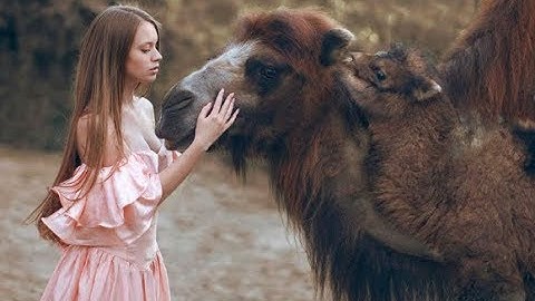 Shulman 💘 Endless Rhythms Of The Beatless Heart (Full Album)