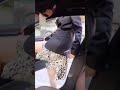 抖音剧 小月姐 Eps 16我和美女老板的日常 抖音剧 小月姐 Eps 16我和美女老板的日常