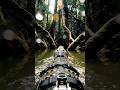 Black Caiman POV Discovers Hidden Cave Temple in Amazon#shortsfeed #wildlife #shorts #trending