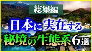 【ゆっくり解説】【総集編】日本の「秘境」の生態系6選を解説/富士の樹海、上高地、小笠原諸島、尾瀬、西之島など【作業用】【睡眠用】