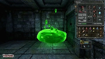 Legend of Grimrock ♦ Toorum Solo [20] Level 7: Ancient Chambers 1/3 - Maze of Shadows, Tirin