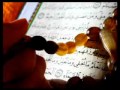 سورة الشمس تلاوة المقرئ محمد حسين عامر  